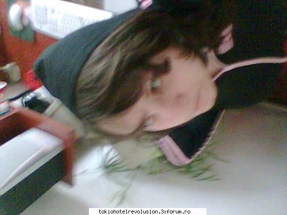 subiectu' me! tot