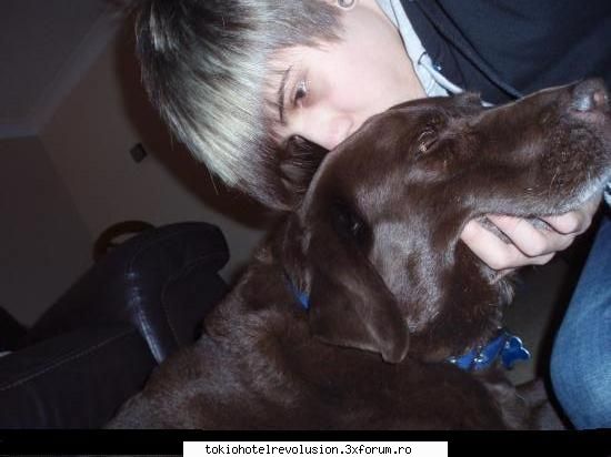love dosen't have time meu comm acest next ca`s place imi place inbinezi descrierea bftha