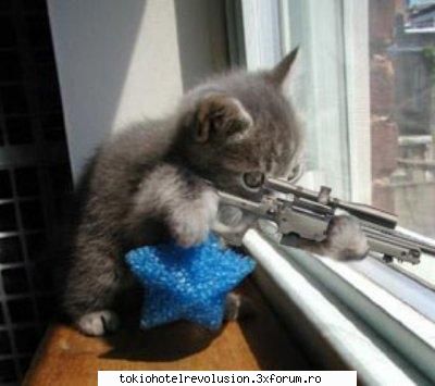 poze funny:) "ha dq....ia aici!!!!    