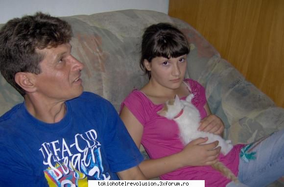 animale companiee poi pisicuta cainedar mai animale tara kitty este pisik rasa