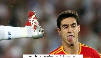 funny pics