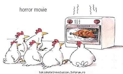 funny pics