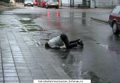 funny pics      