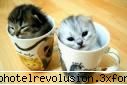 poze funny:) asta asa dulce