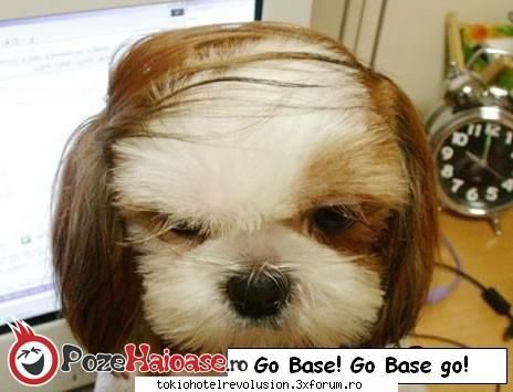 poze funny:) asta fost catelu basescu sigur     ***VIP's Boss***