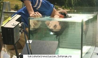 bill [img]