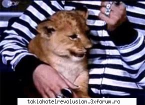 bill [img]