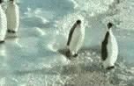 poze funny:)