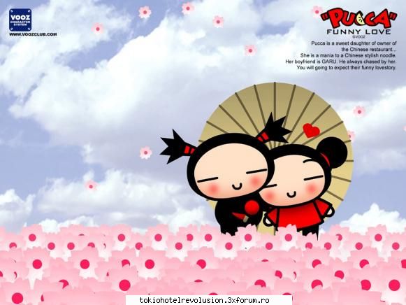 poze desene animate preferate pucca
