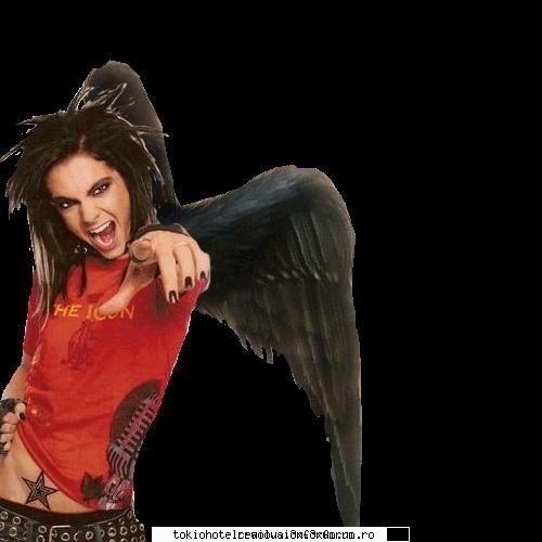 bill [img] ***VIP's Boss***