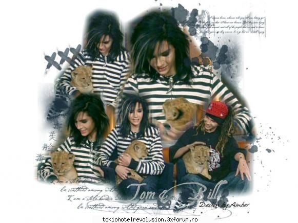 kaulitz twins