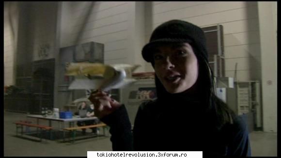 ..bill~~~      wow hi... tare dulceeee ...  ahh ptr citit mai inainte categoric