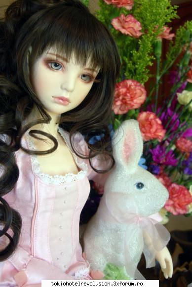dollfies asta