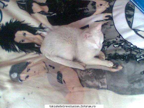hot not hot   matzul meu care statea bill  