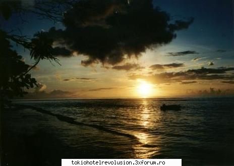 2 bands....2 love stories - �� T !Mein Fierita!Trezeste-te!Uite ce frumos - Fan Fiction Archive