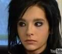Bill - ��Crazy Butterfly�� - Fotografii
