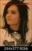 Bill - ��Crazy Butterfly�� - Fotografii