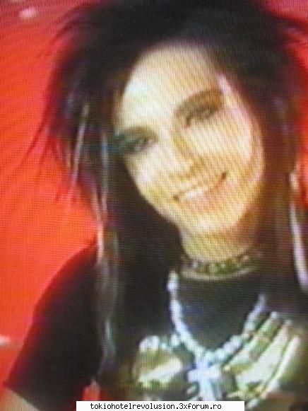 Bill - ��Crazy Butterfly�� - Fotografii