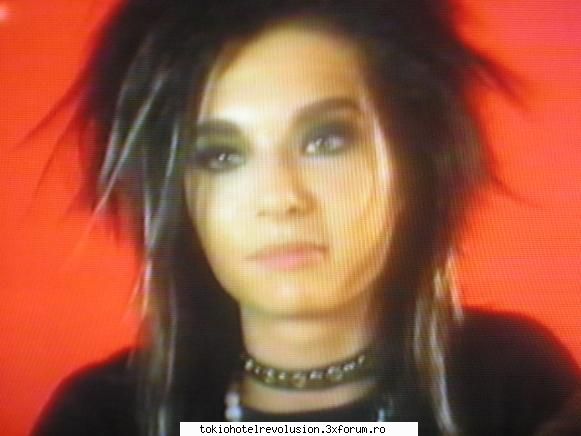 Bill - ��Crazy Butterfly�� - Fotografii