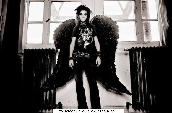 Bill - ��Crazy Butterfly�� - Fotografii