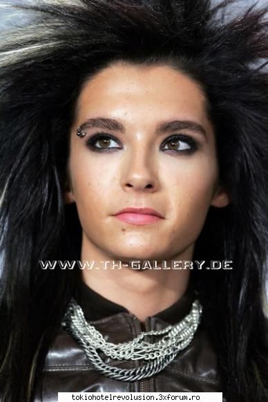 Bill - ale_xandra - Fotografii