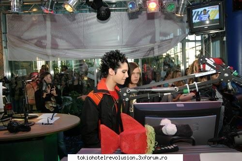 Bill - ale_xandra - Fotografii