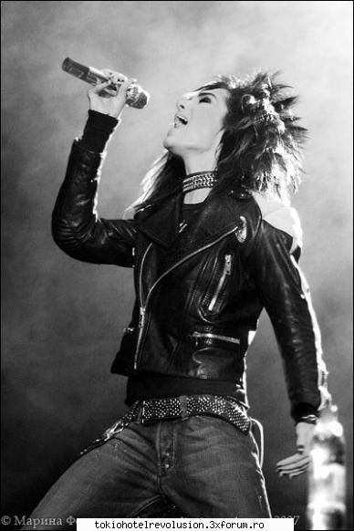 Bill - ale_xandra - Fotografii