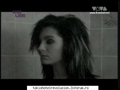 Bill - ale_xandra - Fotografii