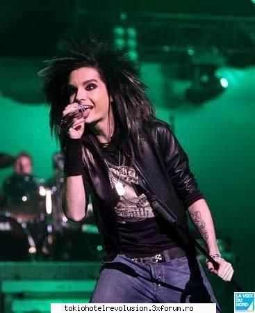 Bill - ale_xandra - Fotografii