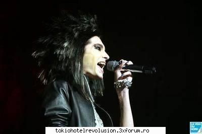 Bill - ale_xandra - Fotografii