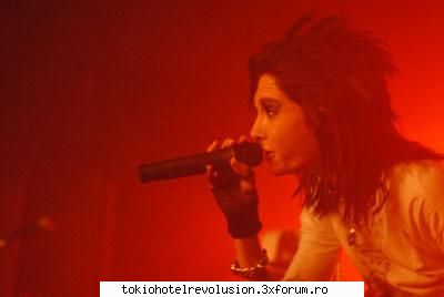 Bill - ale_xandra - Fotografii