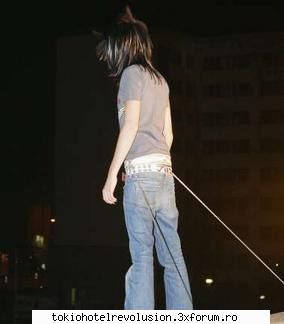 Bill - ale_xandra - Fotografii