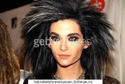 Bill - ale_xandra - Fotografii