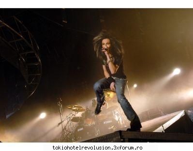 Bill - ale_xandra - Fotografii