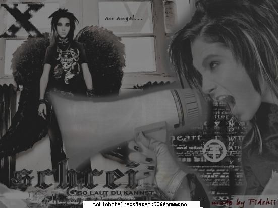 Bill - Admin - Fotografii