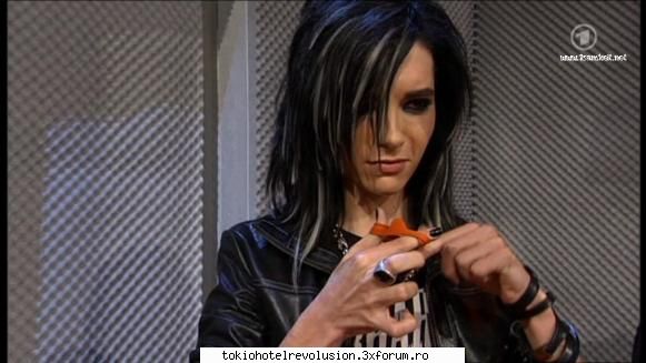 Bill - ale_xandra - Fotografii