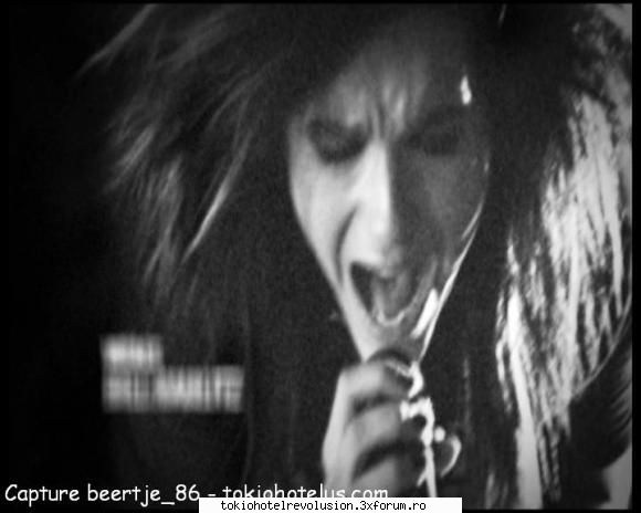 Bill - ale_xandra - Fotografii