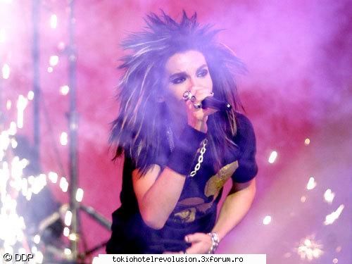 Bill - ale_xandra - Fotografii