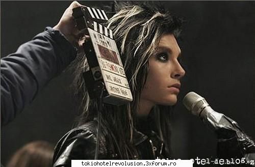 Bill - ale_xandra - Fotografii