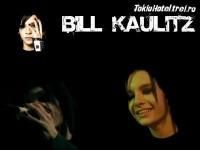 Bill - Eisblumen. - Fotografii
