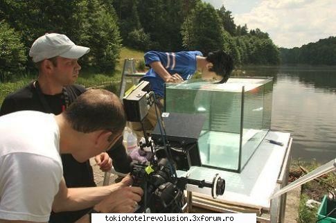 Bill - ale_xandra - Fotografii