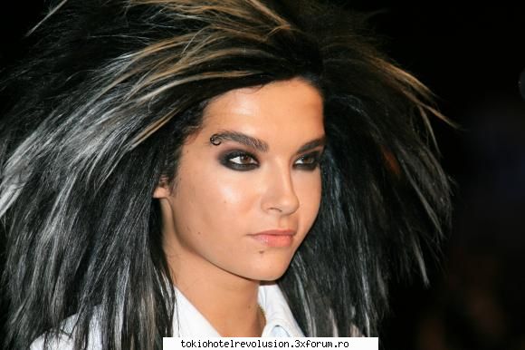 Bill - ale_xandra - Fotografii