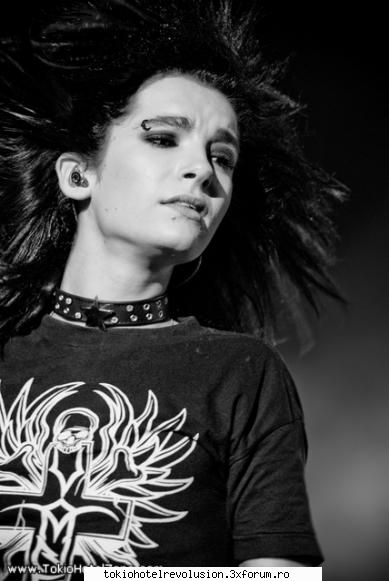 Bill - ale_xandra - Fotografii
