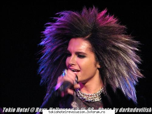 Bill - ale_xandra - Fotografii