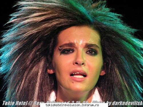 Bill - ale_xandra - Fotografii