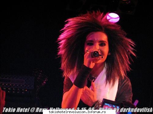 Bill - ale_xandra - Fotografii