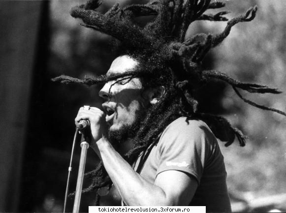 Bob Marley - Cats_love_dogs - Muzică