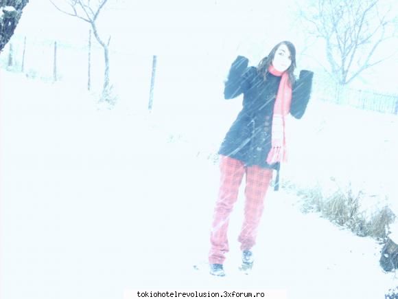 Catalina - it's time for snow - Fotografii cu utilizatorii