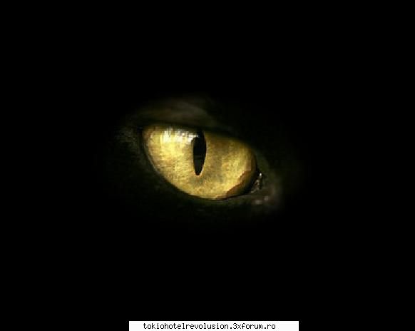 Dragonul intunericului si vulturul de argint - a venit nextul LOOOOMMMMEEEE!!!!!!! Era - Fan Fiction Archive