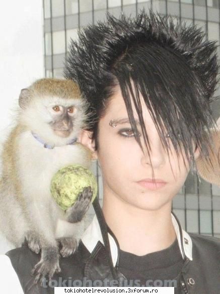 Funn with bill - B mai suport maimuta asta....luatio!!!! :x - Bill Kaulitz